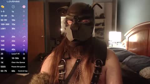 kinkywolf87 online show from 9, 12, 2024