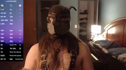 kinkywolf87 online show from 19, 12, 2024