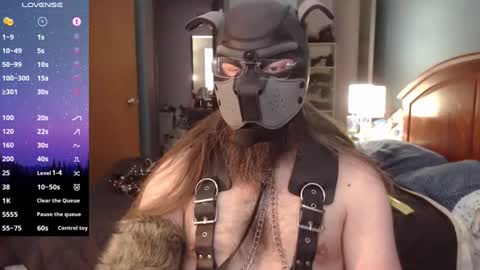 kinkywolf87 online show from 21, 12, 2024