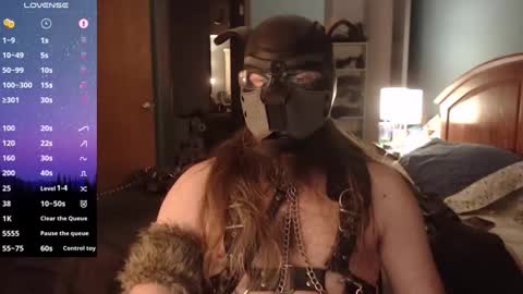 kinkywolf87 online show from 31, 12, 2024