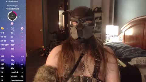 kinkywolf87 online show from 31, 12, 2024