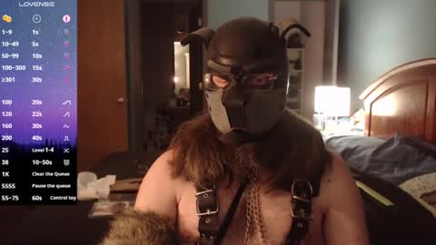 kinkywolf87 online show from 15, 1, 2025
