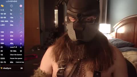 kinkywolf87 online show from 6, 3, 2025