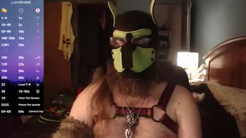 kinkywolf87 online show from 3, 4, 2026