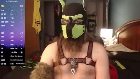 kinkywolf87 online show from 5, 4, 2026