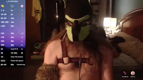 kinkywolf87 online show from 26, 4, 2026