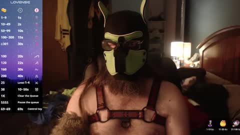 Snapshot of kinkywolf87 chatting on 14, 6, 2026 kinkywolf87 online show from 14, 6, 2026