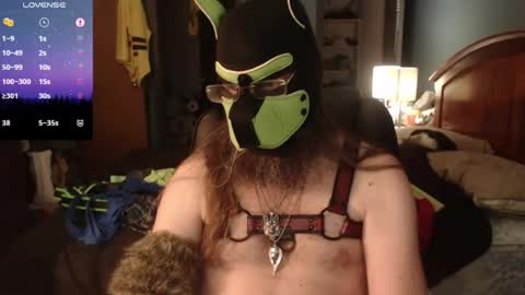 Snapshot of kinkywolf87 chatting on 14, 6, 2026 kinkywolf87 online show from 14, 6, 2026