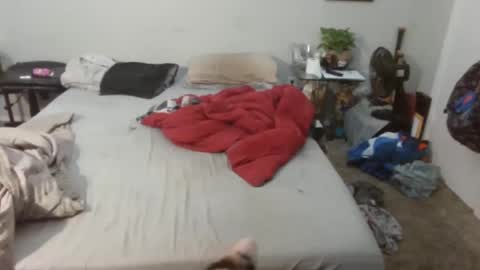 Kitten and rebellious online show from 20, 2, 2025