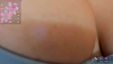 kitten online show from 13, 1, 2026