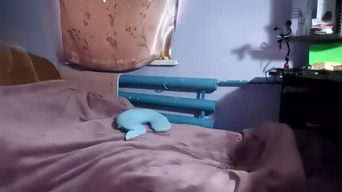 Kitti online show from 2, 2, 2026