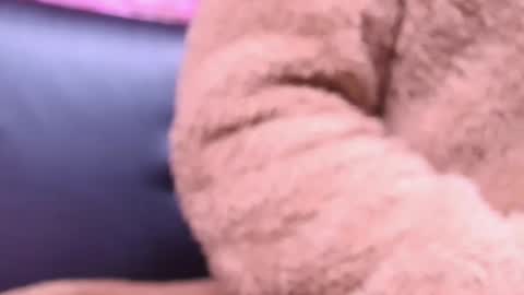 Kitty online show from 23, 10, 2025