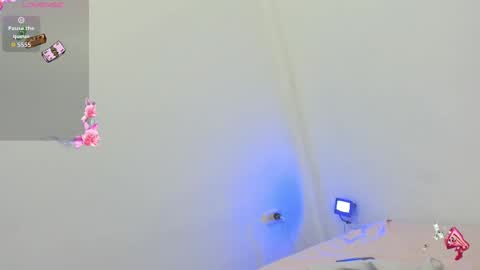 kitty online show from 8, 10, 2025