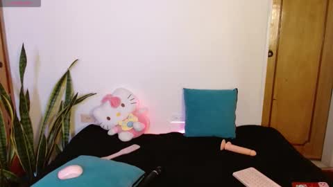 Snapshot of kittycatw chatting on 17, 12, 2025 LAURA help me reach 100likes online show from 17, 12, 2025