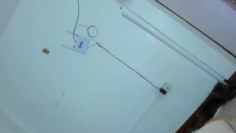 Grace online show from 25, 2, 2025