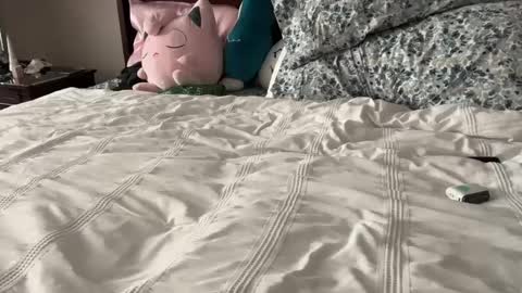 kittypurr79 online show from 12, 1, 2025