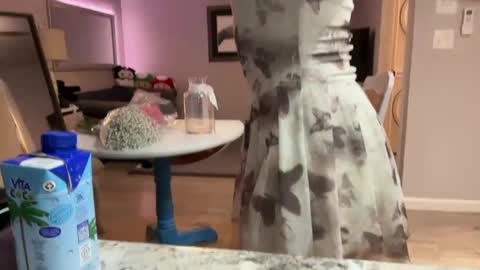 kittypurr79 online show from 30, 9, 2025