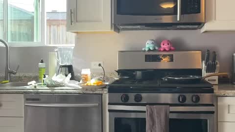 kittypurr79 online show from 4, 4, 2026