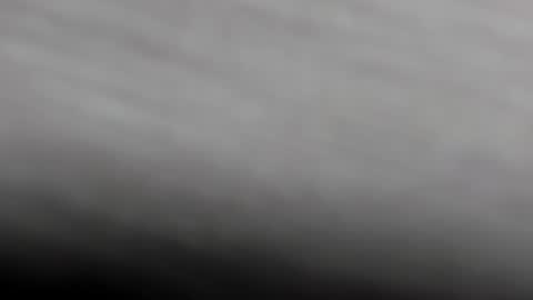  K I T T  Y  online show from 1, 2, 2025