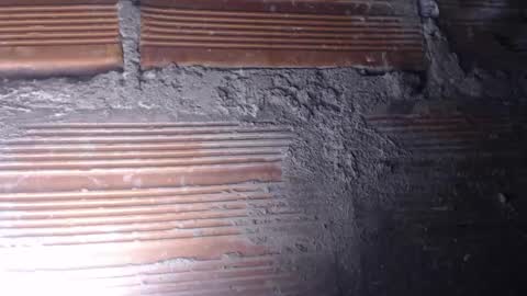 MARI -- ----   transmission forever today 10 pm time  colombia online show from 4, 12, 2024