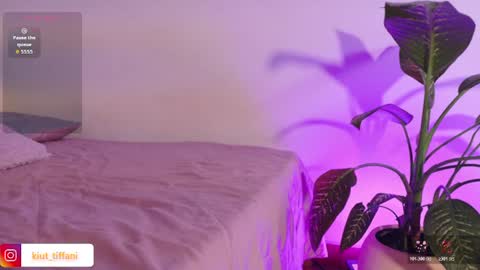  Tiffanii  online show from 28, 7, 2026