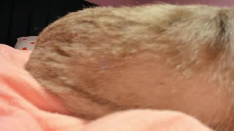 Yuna online show from 19, 4, 2026