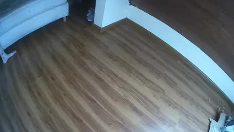 Klowrash online show from 30, 1, 2025