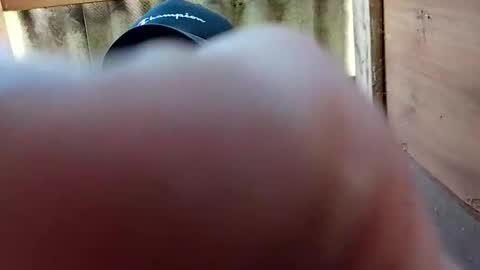 kocsispista03 online show from 25, 4, 2026