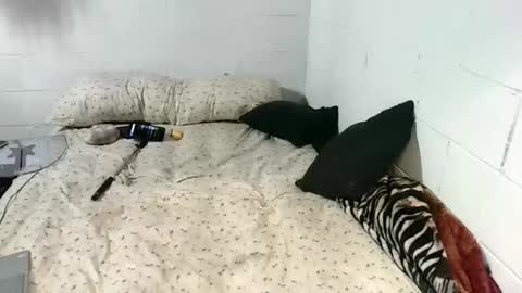 Snapshot of koty1169 chatting on 13, 1, 2026 Katybaby online show from 13, 1, 2026