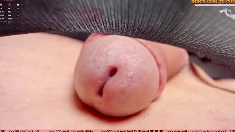 Petra online show from 12, 3, 2026