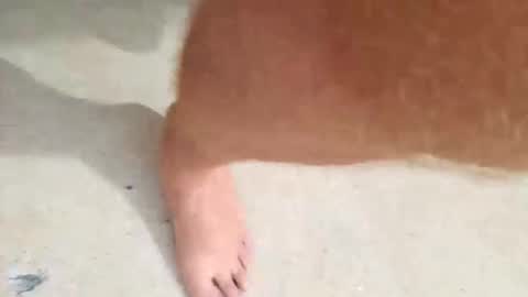 kramit1222 online show from 24, 9, 2025