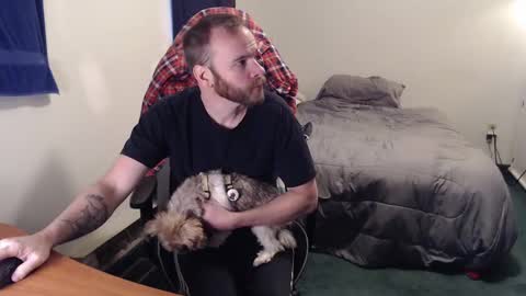 Kuggy online show from 7, 12, 2024