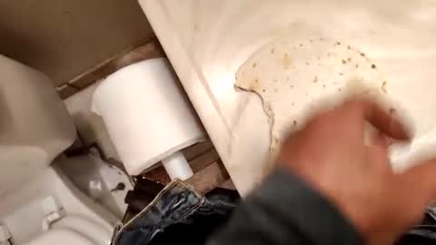 Snapshot of kumnnkevsuks4 chatting on 16, 1, 2025 kumnnkevsuks4 online show from 16, 1, 2025