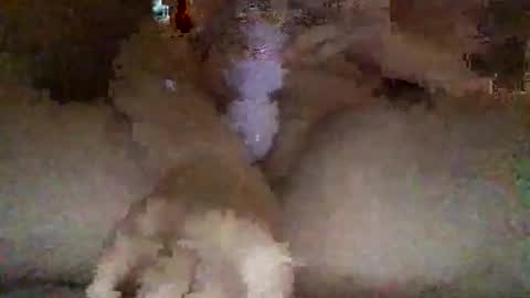 kylie online show from 27, 2, 2026