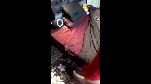 labestiareconoseme44420 online show from 8, 3, 2026