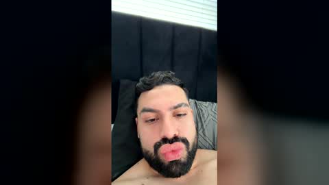 labrador16 online show from 15, 3, 2026