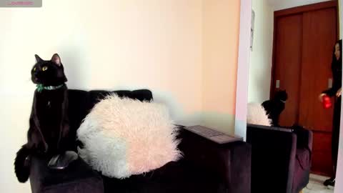 lace_victoria online show from 7, 1, 2026