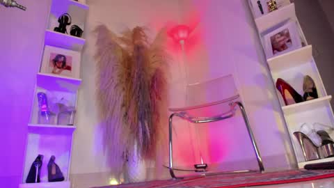 Colorina online show from 15, 4, 2026