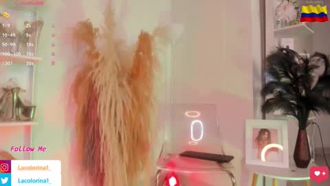 Snapshot of lacolorina_ chatting on 5, 11, 2025 Colorina online show from 5, 11, 2025