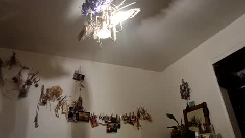 lacybell online show from 9, 10, 2025