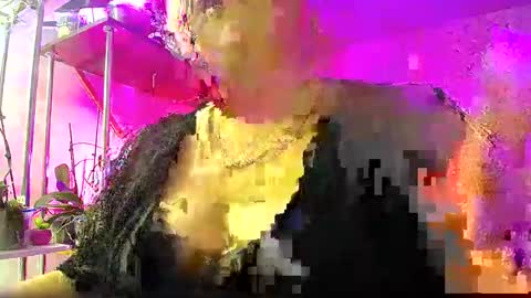 Lady Gloria online show from 4, 1, 2025