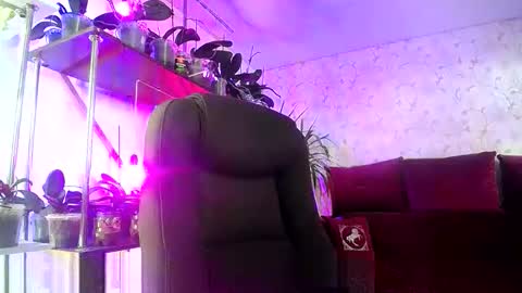 Lady Gloria online show from 11, 6, 2026
