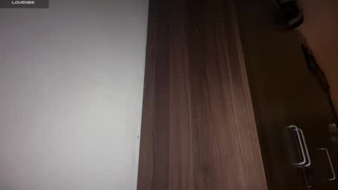 Snapshot of ladybird21 chatting on 16, 3, 2026 Aria online show from 16, 3, 2026