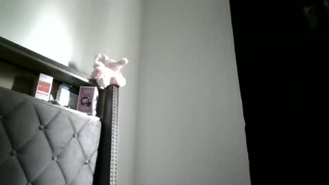 Snapshot of ladycinnabon chatting on 28, 7, 2026 Stephanie online show from 28, 7, 2026