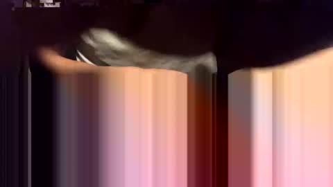 lalo112233vaz online show from 16, 11, 2025