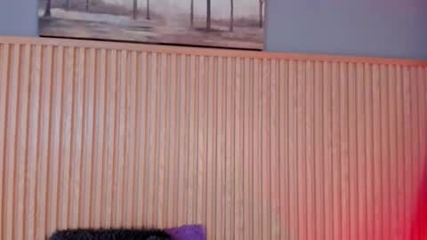 ... .          . ... online show from 13, 11, 2025