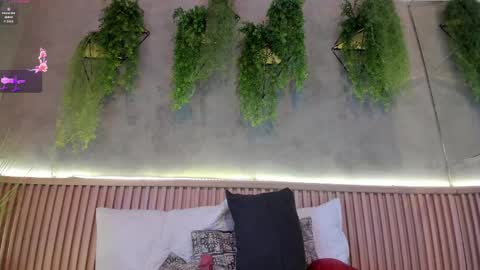 Snapshot of lana_lann chatting on 14, 2, 2025 lana_lann online show from 14, 2, 2025