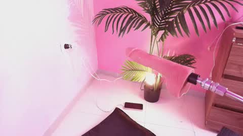 LANA online show from 9, 10, 2025