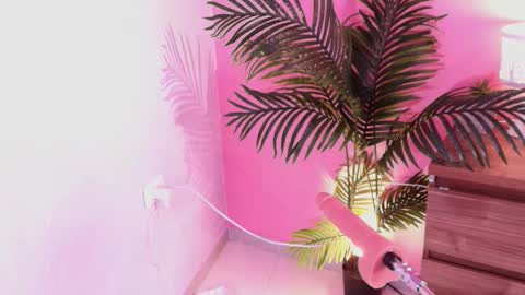 LANA online show from 1, 12, 2025