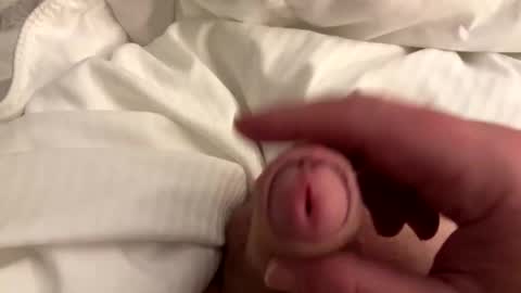 lansing77 online show from 31, 3, 2026